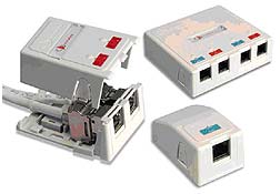 Nueva caja de montaje en superficie MAX de Siemon