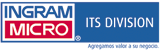 Ingram Micro: Fortaleciendo su área de ITS Division