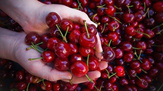 ITQ Latam provee alta disponibilidad a exportadora de cerezas