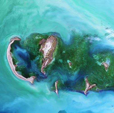 Csiro Chile y Data Observatory habilitan inédita plataforma de datos abiertos para la comunidad satelital global