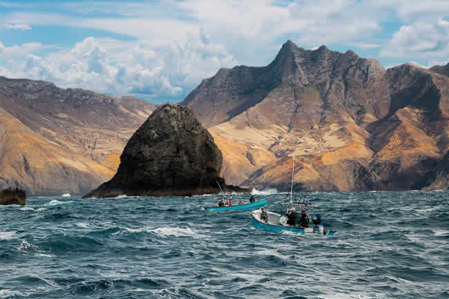 Island Conservation y Lenovo desarrollan un proyecto en isla de Juan Fernández