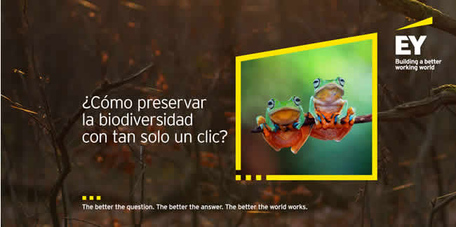 EY lanza un concurso para ayudar a la biodiversidad