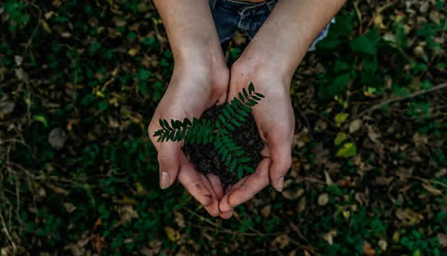 Logicalis busca convertirse en carbono neutral para el año 2025