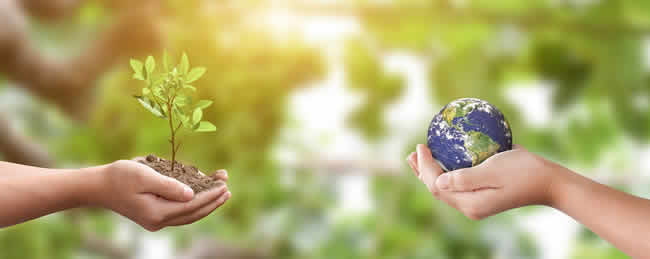Canon obtiene calificación de Oro por EcoVadis gracias a su compromiso de sustentabilidad