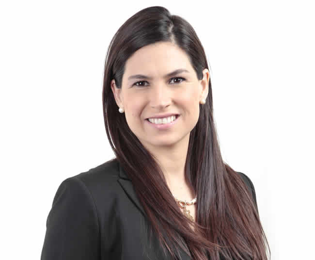 Principales riesgos que enfrenta la industria de seguros