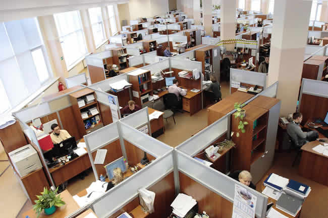 Lo que dicen los tomadores de decisiones de TI sobre el riesgo en la industria