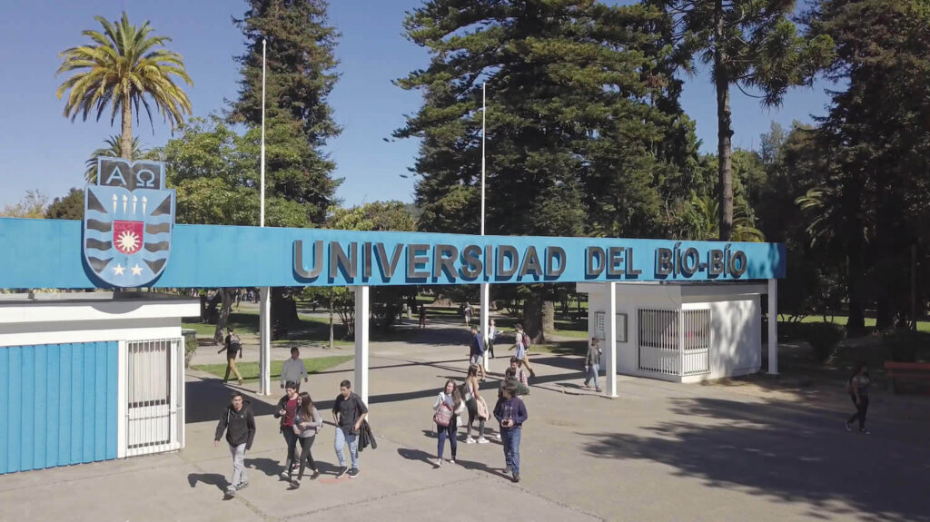 Expertos de la UBB revelan impacto de la IA en Biobío y Ñuble