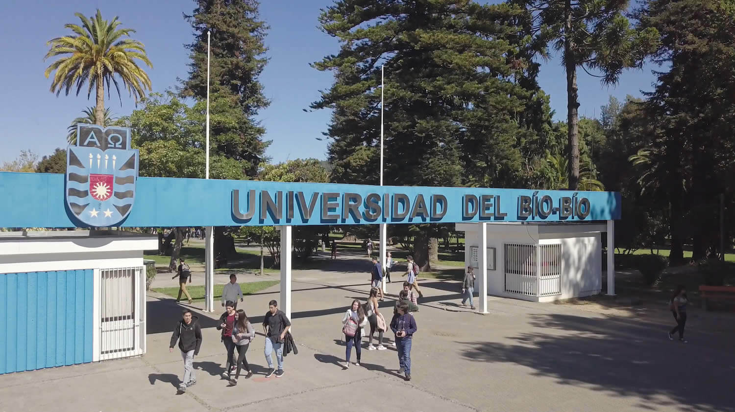 Expertos de la UBB revelan impacto de la IA en Biobío y Ñuble