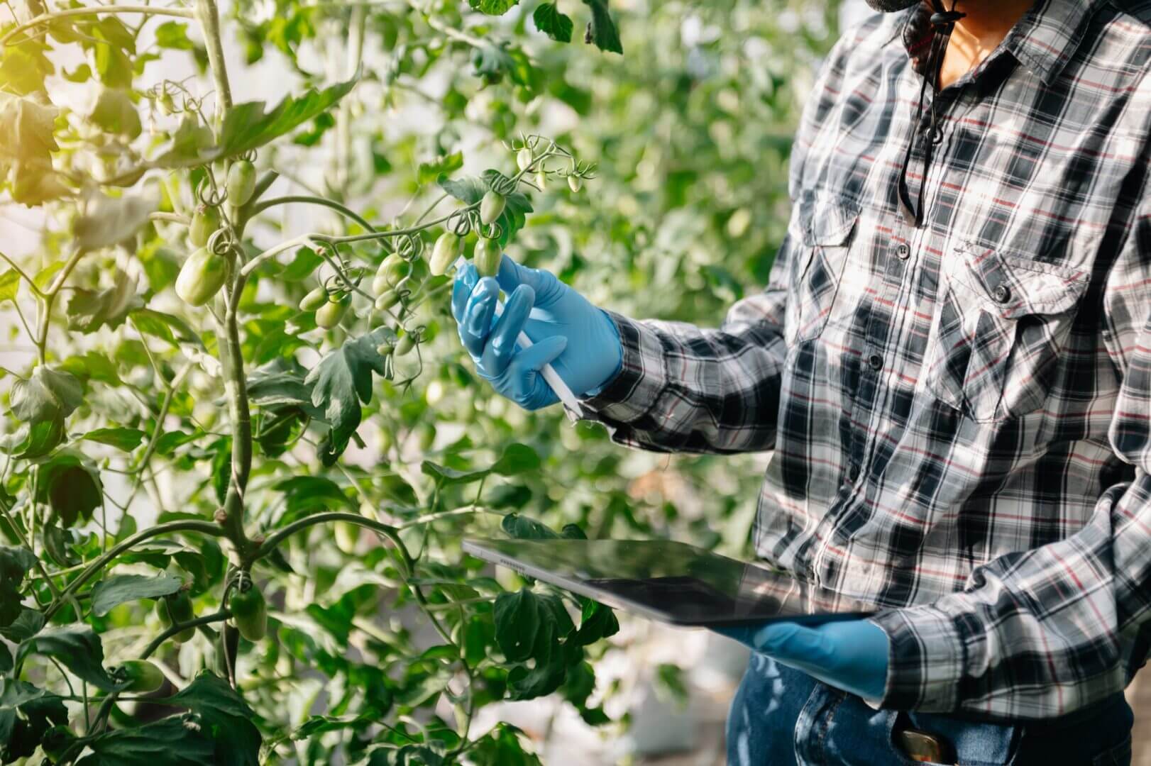 Agrotecnología 