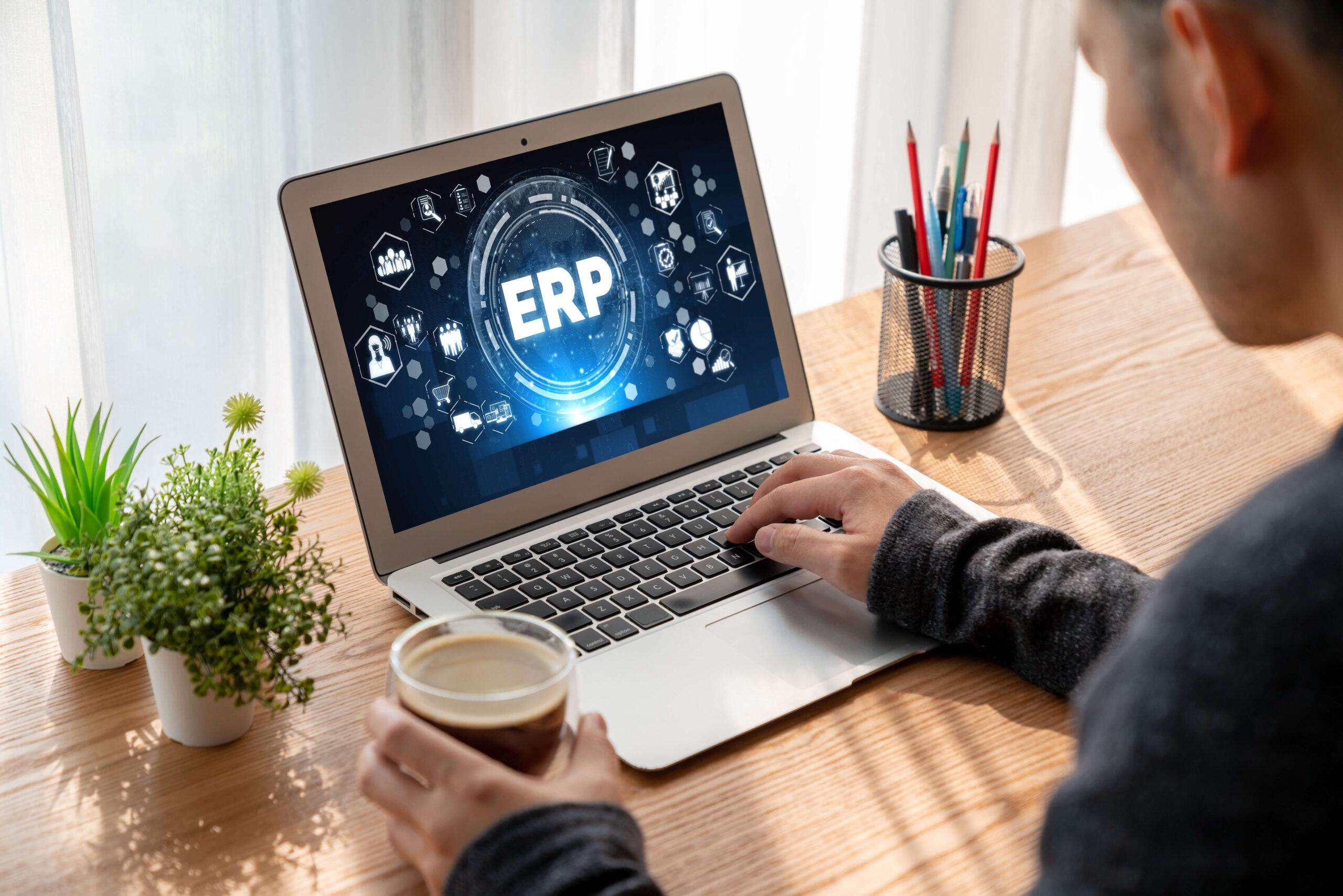 cómo elegir erp