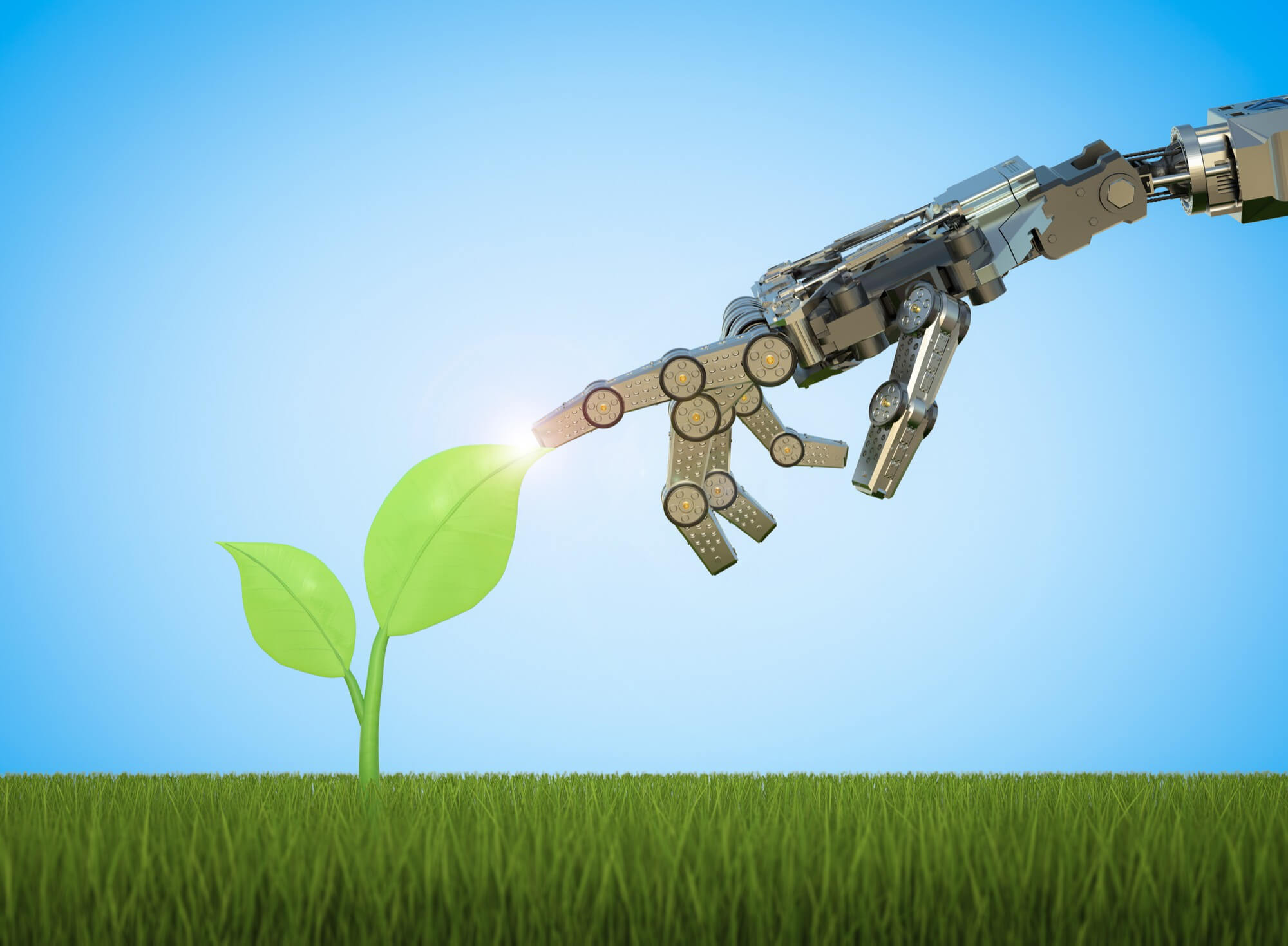 AI Energy Score