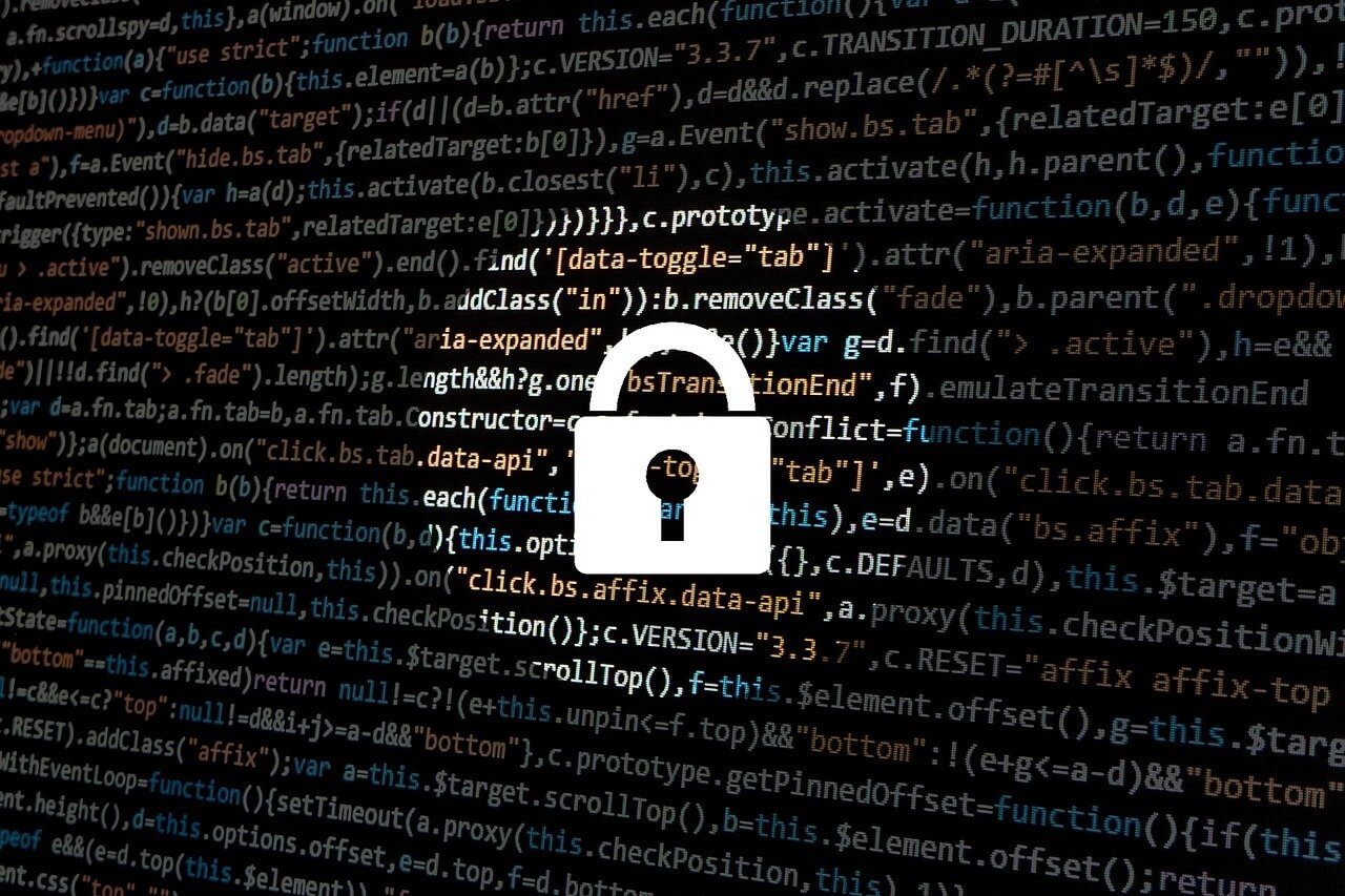 Botnet Outlaw